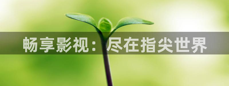 免费的午夜影院