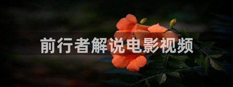 好大午夜在线