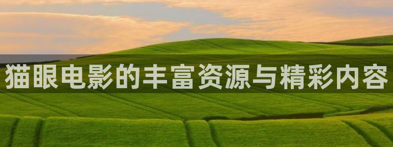 午夜24点免费电影
