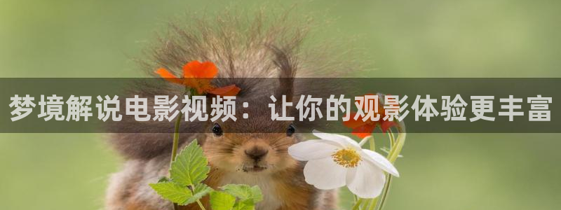 午夜高清大片