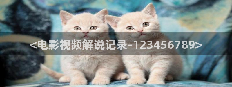久久午夜理论电影