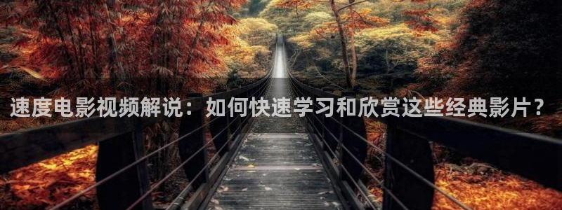 理论片午夜伦夜理片2018