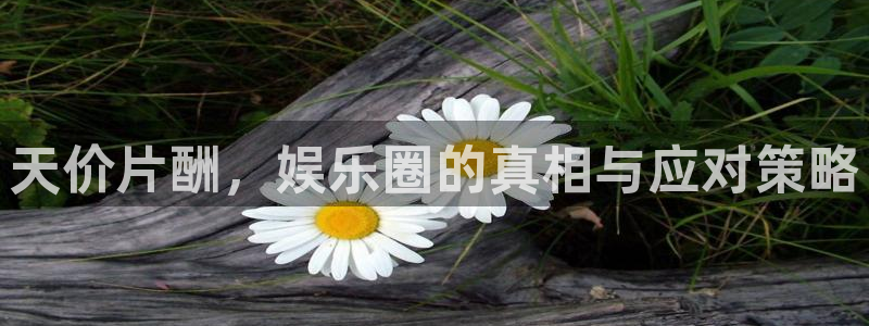成人午夜手机免费电影