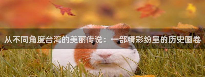 午夜a v影院