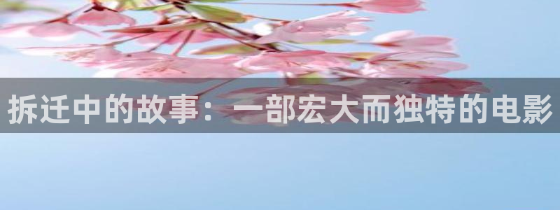 就爱午夜大片
