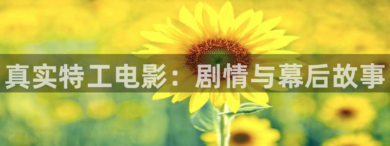 午夜伦理第九影院