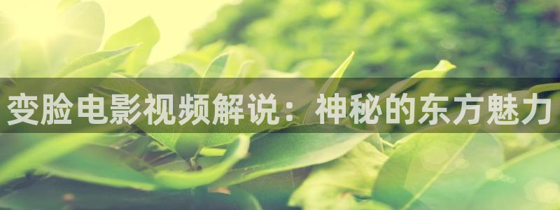 午夜神马影院我不卡