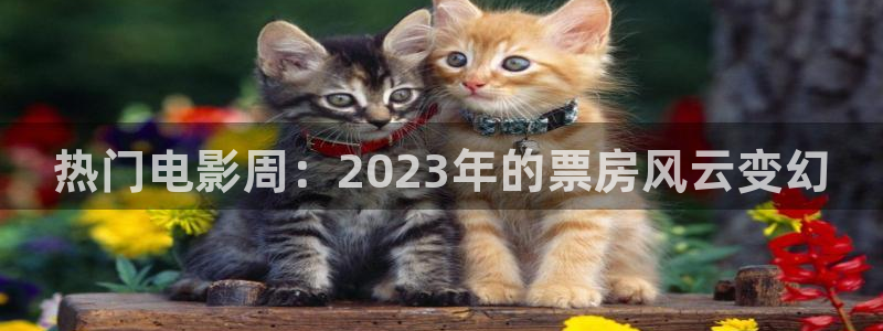成人午夜免费av