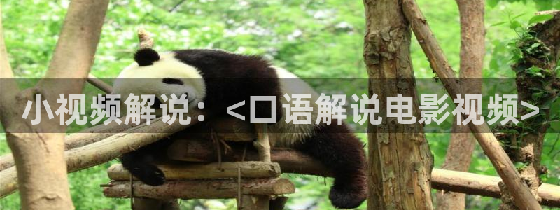 午夜片在线视频免费观看