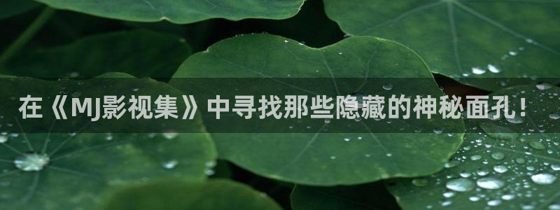 神马午夜第九影院
