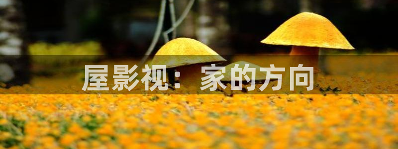三级午夜大片