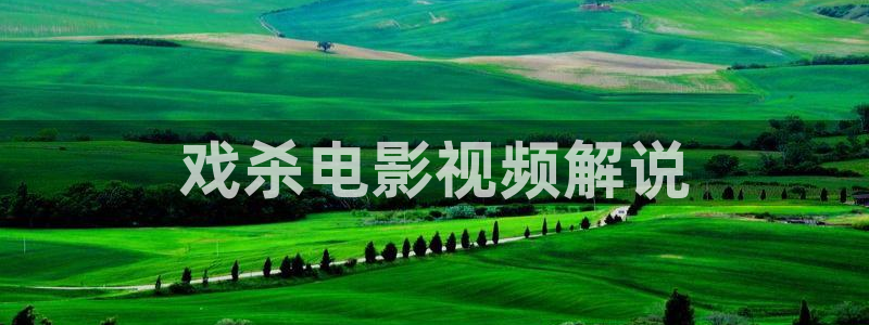 国内午夜影院