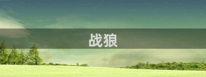 人成午夜影视：战狼