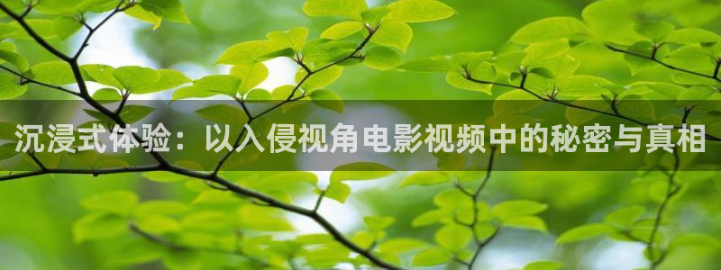 成人午夜影音：沉浸式体验：以入侵视角电影视频中的秘密与真相