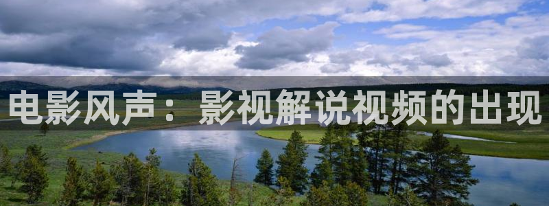 午夜理论电影在线看