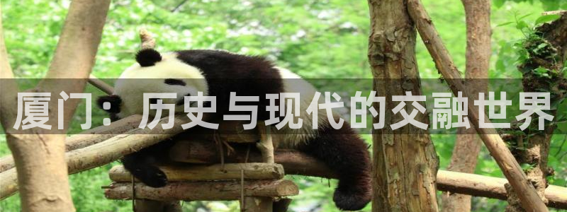 午夜电影秋霞